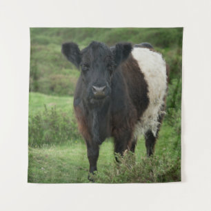 Belted Galloway Cow Tapestry