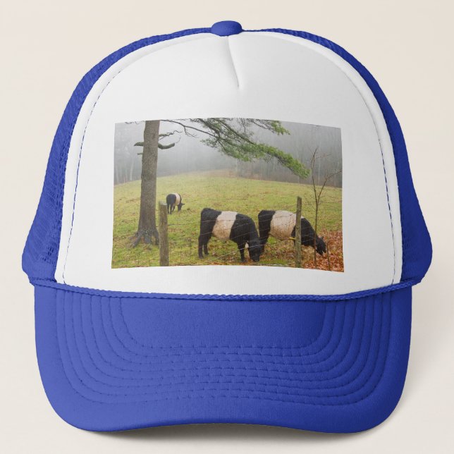 Belted Galloway Cows On Farm In Rockport Maine Trucker Hat (Front)