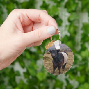 Belted Galloway Standing Proud on Dartmoor Farmlan Keychain