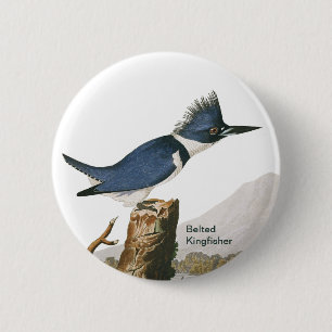 Belted Kingfisher, Audubon, Birdwatcher, Bird 2 Inch Round Button