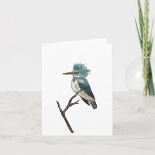Belted Kingfisher Folded Note Card
