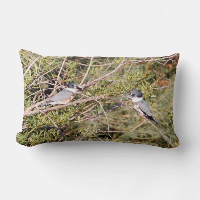 Belted Kingfisher Lumbar Pillow (Front)