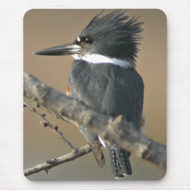 Belted Kingfisher Mouse Pad (Front)