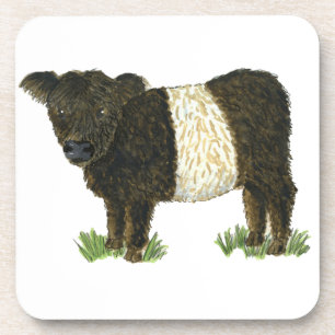 'Beltie' Belted Galloway Coaster