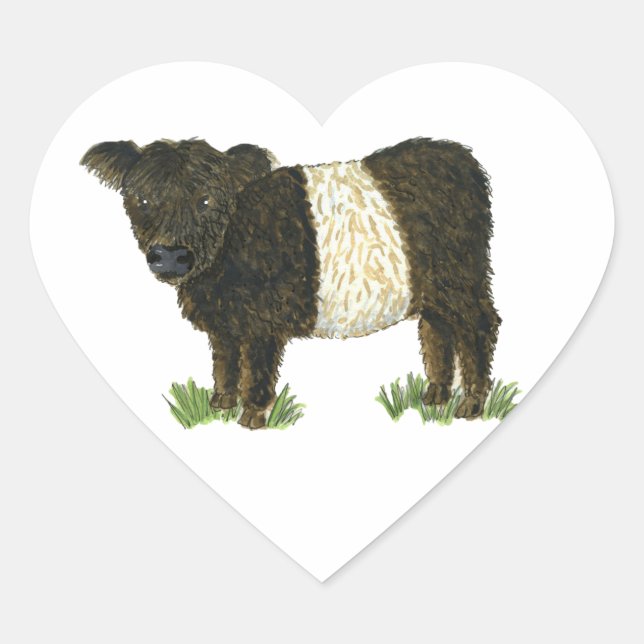 'Beltie' Belted Galloway Heart Sticker (Front)