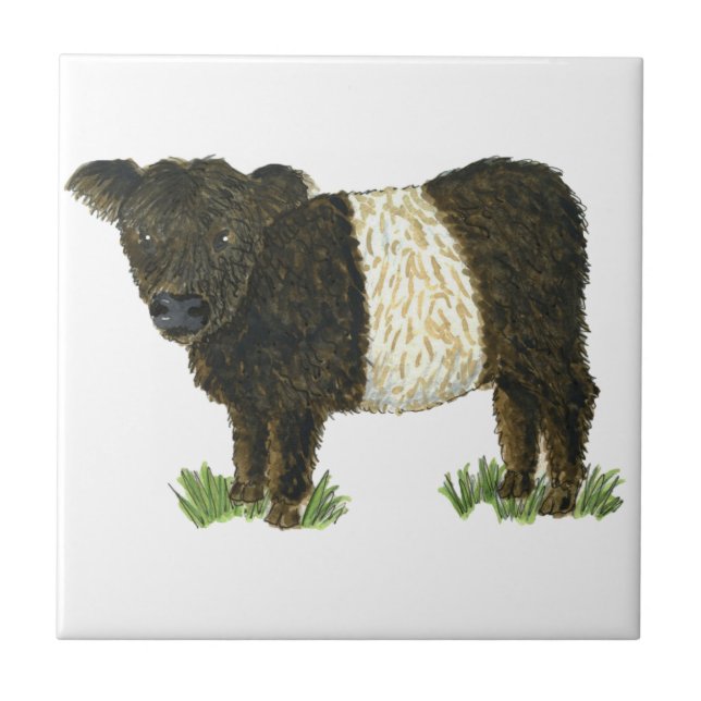 'Beltie' Belted Galloway Tile (Front)