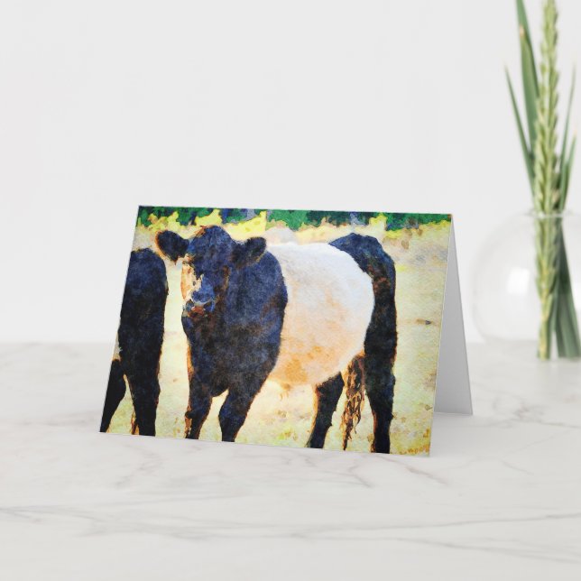 Beltie Cow Watercolor Painting Belted Galloway Art Card (Front)
