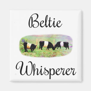 Beltie Whisperer Belted Galloway Cattle Funny Cows Magnet