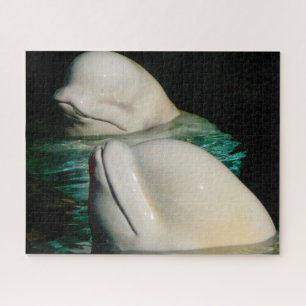Béluga baleines puzzle