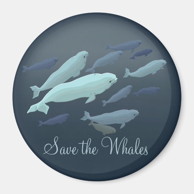 Beluga Fridge Magnet Custom Beluga Whale Magnet (Front)