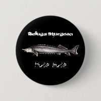 Beluga Sturgeon