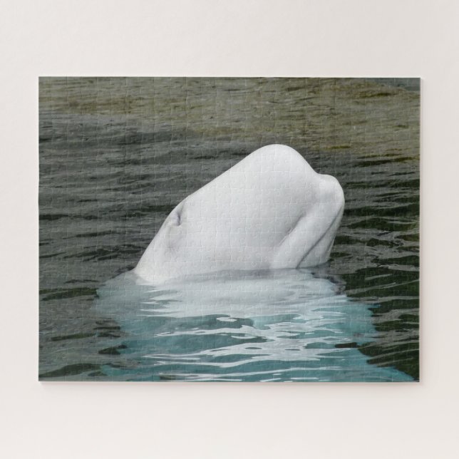 Beluga Whale Alaska Jigsaw Puzzle (Horizontal)