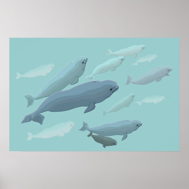Beluga Whale Art Imprimer Marinelife Whale Poster (Devant)