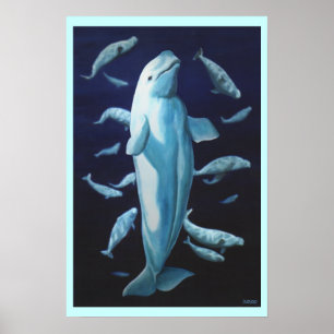 Beluga Whale Art Print Marinelife Whale Painting