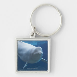Beluga whale (Delphinapterus leucas) Keychain