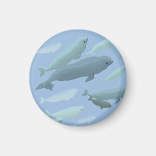 Beluga Whale Fridge Magnet Whale Art Cadfts