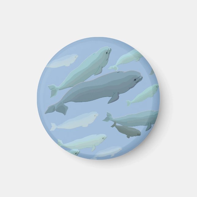 Beluga Whale Fridge Magnet Whale Art Cadfts (Devant)