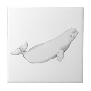 Beluga Whale Illustration Whale Lover Gift White Tile