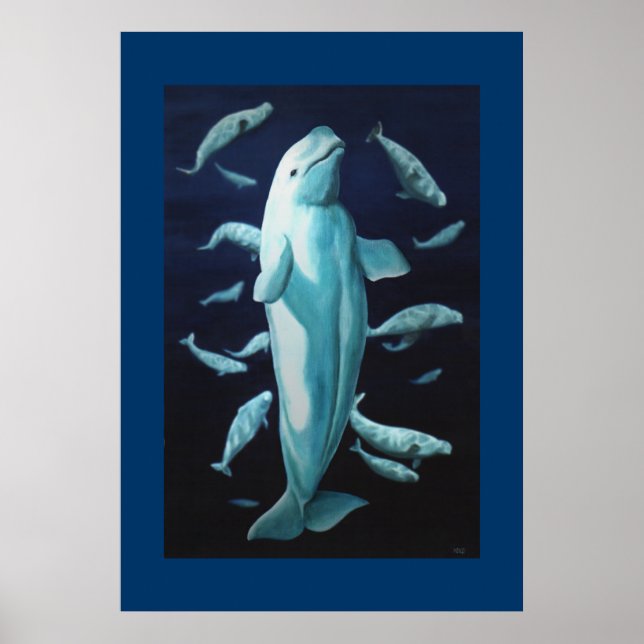 Beluga Whale Imprimer Poster Marine Life Baleine I (Devant)