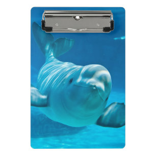 Beluga Whale Mini Clipboard