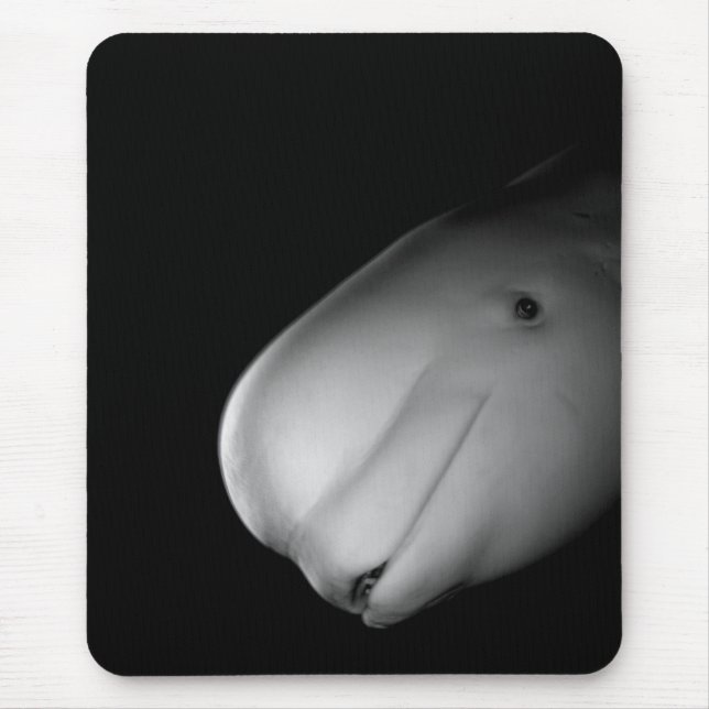 Beluga Whale Mousepad (Front)