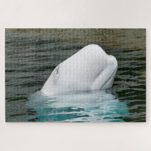 Beluga Whales Jigsaw Puzzle