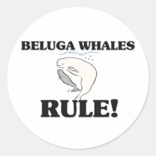 BELUGA WHALES Rule! Classic Round Sticker