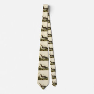 Bemaculated (Brewer's) Duck, Audubon Birds America Tie