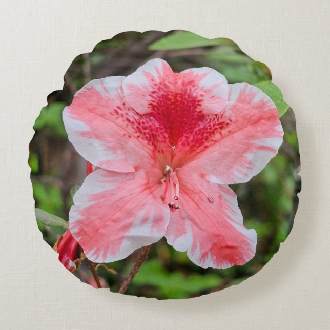 Ben Morrison Azalea (Rhododendron 'Ben Morrison' Round Pillow (Front)