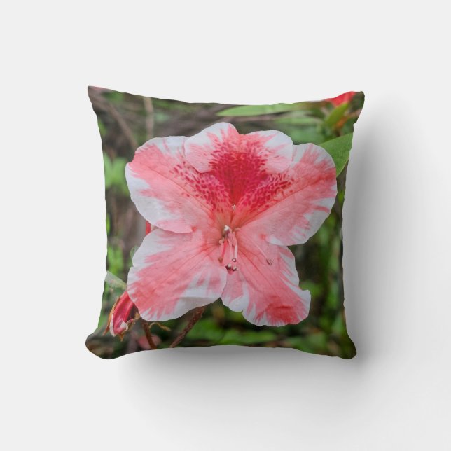 Ben Morrison Azalea (Rhododendron 'Ben Morrison' Throw Pillow (Front)