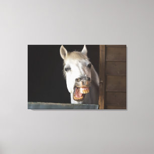 benalamadena costa, malaga, costa del sol, 2 canvas print