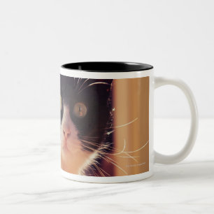 benalamadena costa, malaga, costa del sol, Two-Tone coffee mug