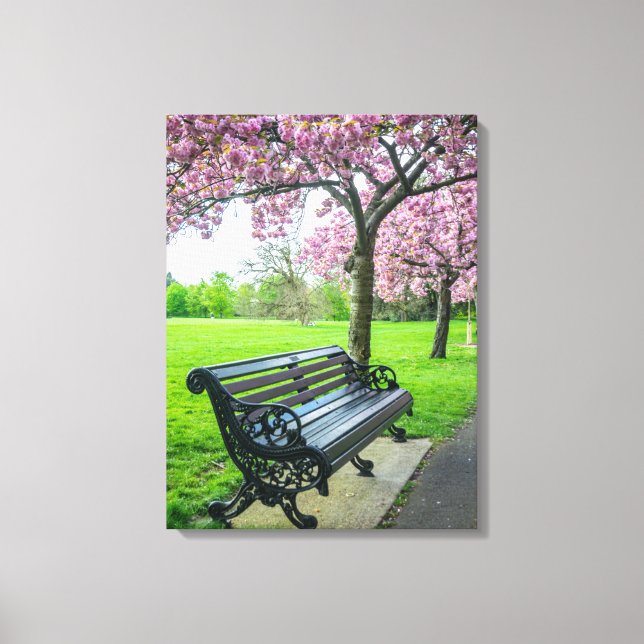 Bench and cherry blossom view canvas print (Front)