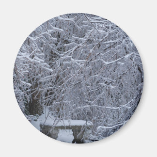 Bench in the snow magnet