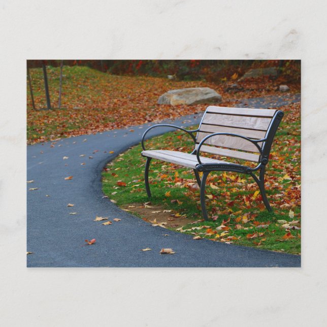 Bench on the Walk 2 Postcard (Front)