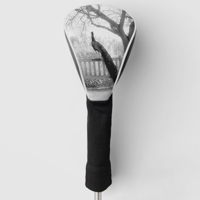 Bench Peacock Golf Head Cover (Front)