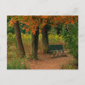 bench postcard