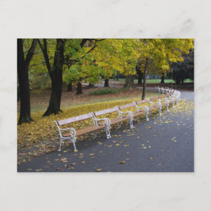 Benches Postcard