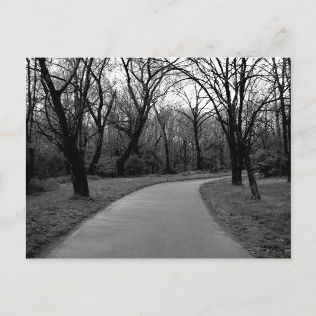 Bend in the Trail Postcard (Front)