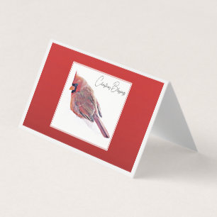 Bénédictions de Noël - La naissance de notre Seign