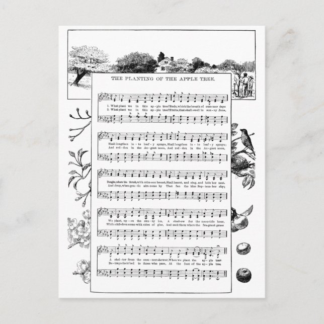 Benefits of Apple Trees Song Postcard (Front)