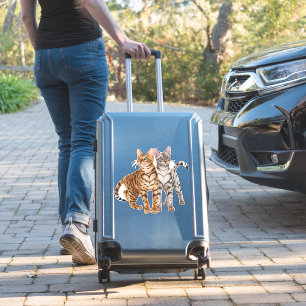 Bengal Cat Buddies Rosette and Snow Bengal Cats Pr