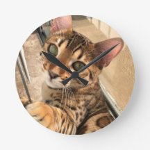 Bengal cat clock