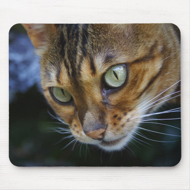 Bengal Cat Close-Up Mouse Pad (Front)
