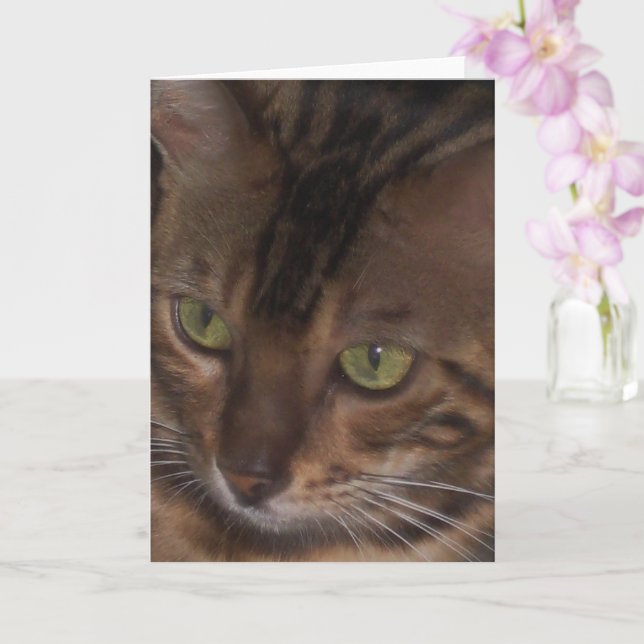 Bengal Cat - Greeting Card (Orchid)