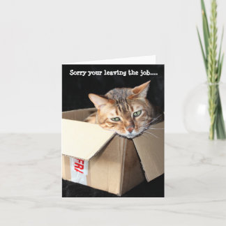 Bengal cat greetings card "Sorry your leaving.....