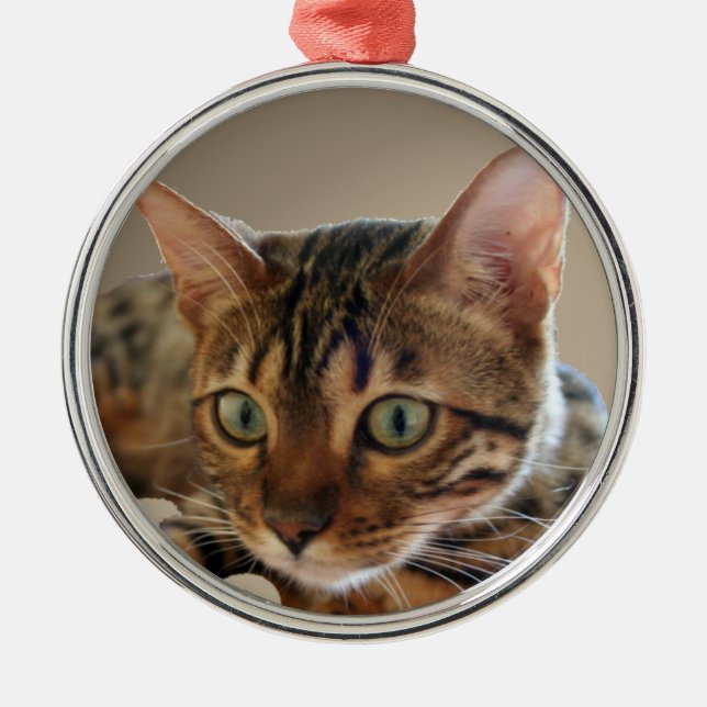 Bengal Cat Metal Ornament (Front)