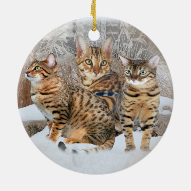 Bengal Cat Ornaments (Back)