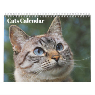Bengal Cats 2025 Calendar