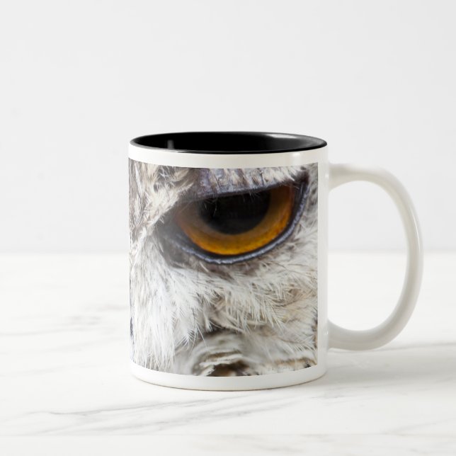 Bengal Eagle Owl Two-Tone Coffee Mug (Right)
